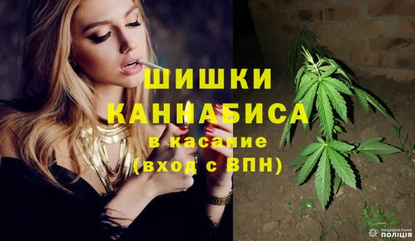 шишки Аркадак